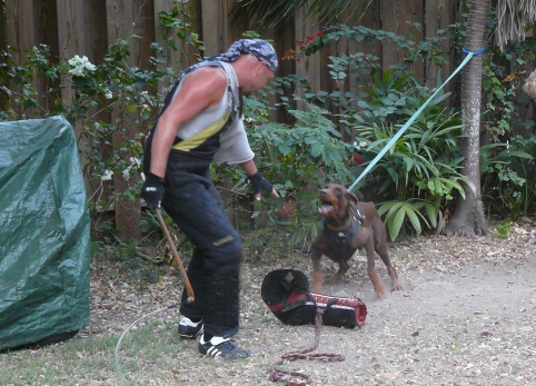 Seminar on Virgin Islands 2008